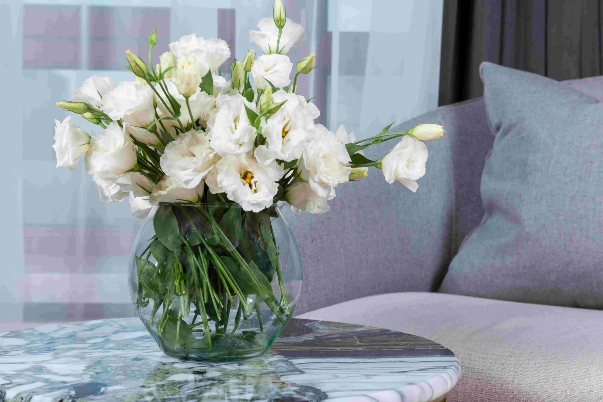 French look home