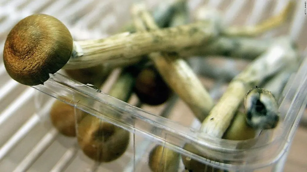 Eat Shrooms