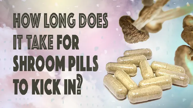 Shroom Pills